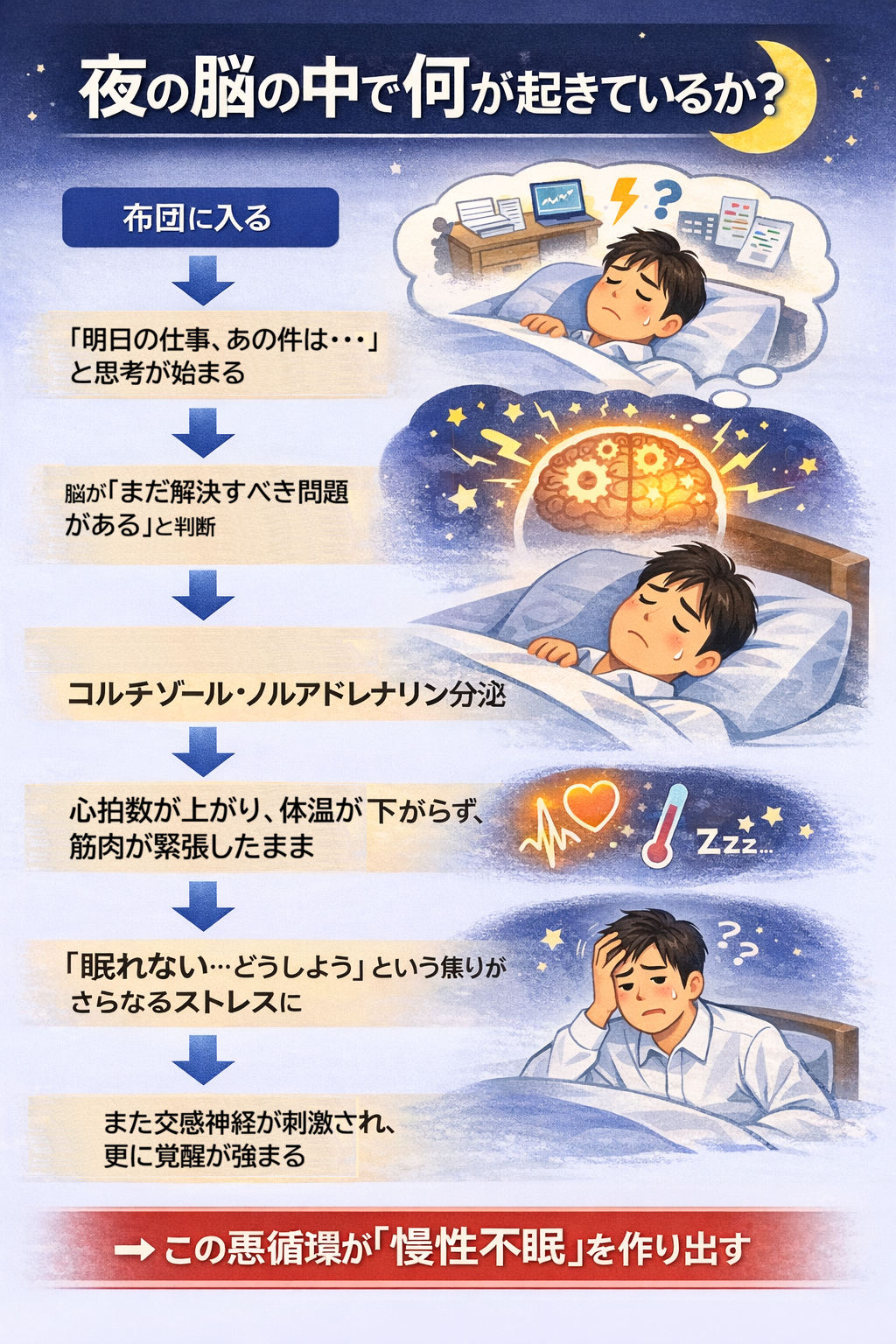 【夜の脳の中で何が起きているか？】布団に入る→「明日の仕事、あの件は…」という思考が始まる→脳が「まだ解決すべき問題がある」と判断→交感神経が刺激され、コルチゾール・ノルアドレナリン分泌→心拍数が上がり、体温が下がらず、筋肉が緊張したまま→「眠れない…どうしよう」という焦りがさらなるストレスに→また交感神経が刺激され、さらに覚醒が強まる→この悪循環が「慢性不眠」を作り出す